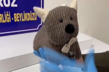 Beylikdüzü'nde peluş oyuncaktan uyuşturucu çıktı