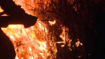 Argentina sofre com incêndios florestais