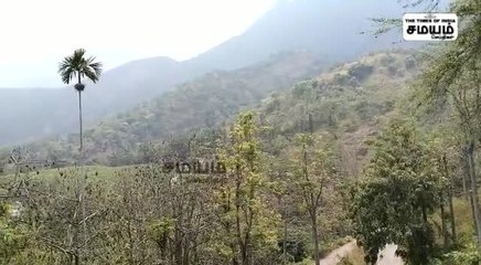 மலையை ஏலம் விடும் வனத்துறை;  அரசு தூங்குகிறதா?