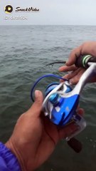 I didn't expect fishing here to get rare fish