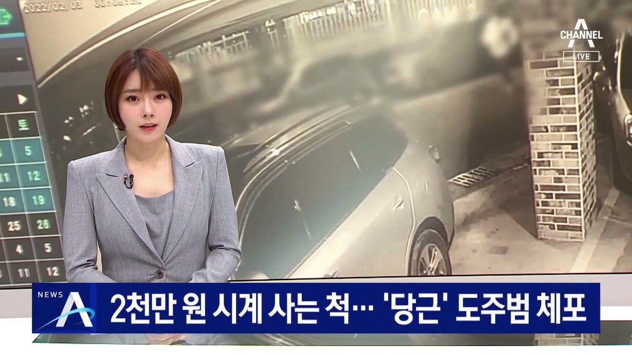 2천만 원 명품 시계 사는 척…‘당근마켓’ 도주범 체포