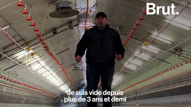 Un éleveur de volailles en guerre contre le modèle intensif