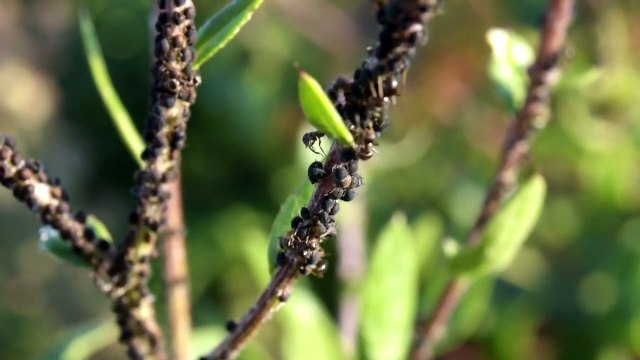 Beautiful relaxing piano music for stress relief! study!meditation music!sleep music!ambient music!