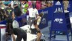 Zverev thrown out of Mexican Open after hitting umpire's chair