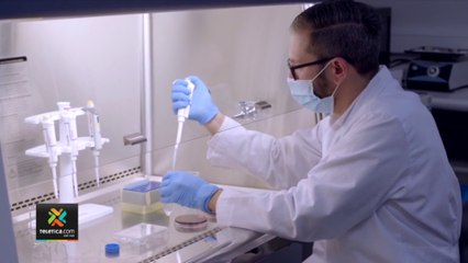 tn7-cientificos-ticos-estudian-bacteria-que-causa-cancer-de-estomago-230222