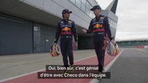 Red Bull - Verstappen : 
