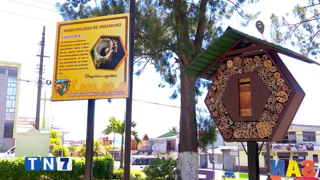 tn7-hoteles-de-abejas-230222