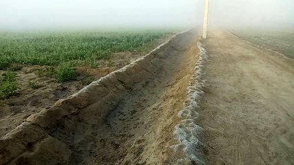Weather Update -ठंडी हवा हुई तेज साथ ही धूप के तेवर भी हुए तीखे