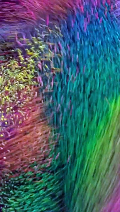 Vertical video - Aspect ratio 9:16 - new filmstrip