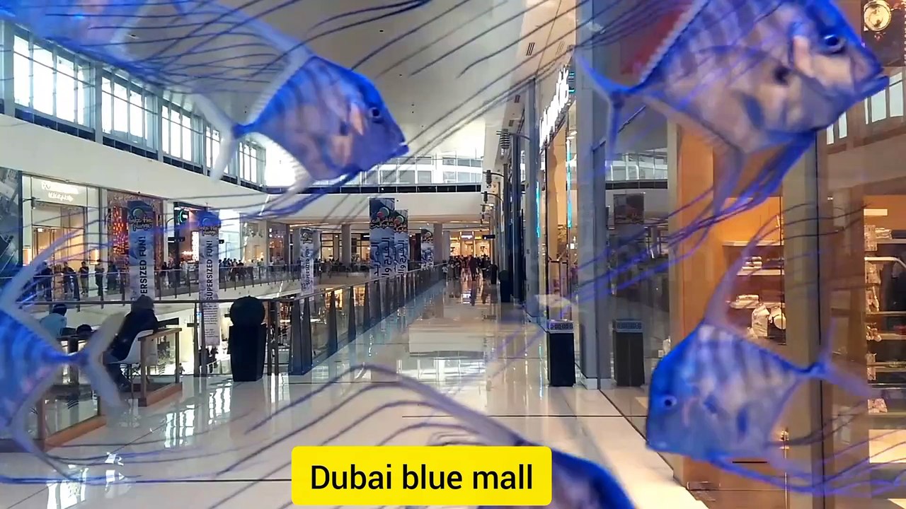 Watch everything about DUBAI