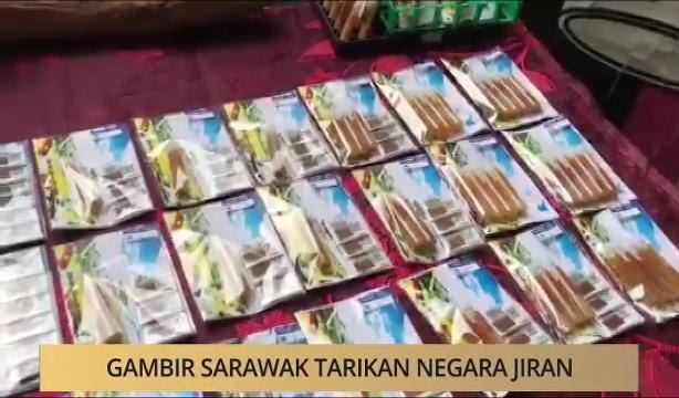 AWANI - Sarawak: Gambir Sarawak tarikan negara jiran