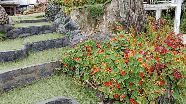 Wisata baru di Dieng Wonosobo