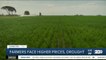 California farmers face concerns over higher prices, drought