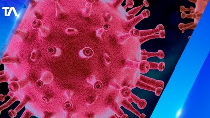 La variante Delta ya no está presente en el país