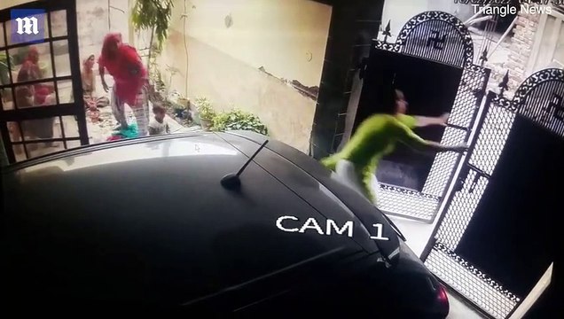 Fighting bulls smash garden gates injuring toddler and grandmother in India