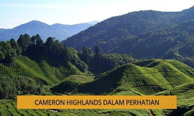 Nota Razak Chik: Cameron Highlands dalam perhatian