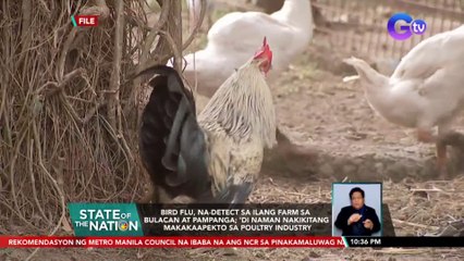 Bird Flu, na-detect sa ilang farm sa Bulacan at Pampanga; 'di naman nakikitang makakaapekto sa poultry industry | SONA
