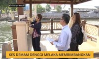 Kes demam denggi Melaka membimbangkan