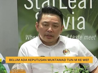 Belum ada keputusan muktamad Tun M ke WEF