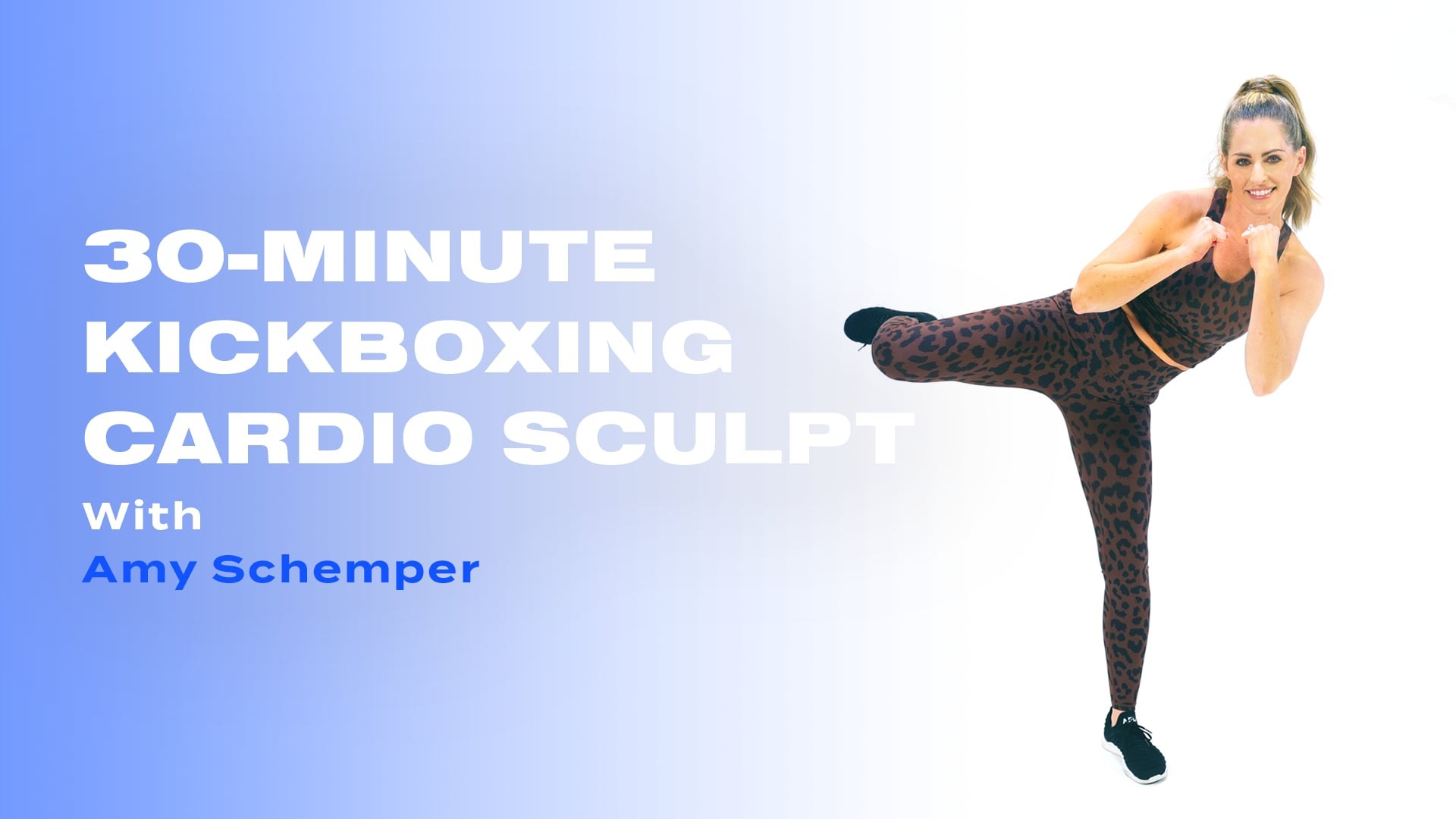 30-Minute Kickboxing and Cardio Sculpt Routine With Amy Schemper - video  Dailymotion