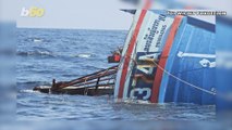 Must See Video Shows Several Cats Being Rescued Aboard Sinking Ship by Thai Navy!