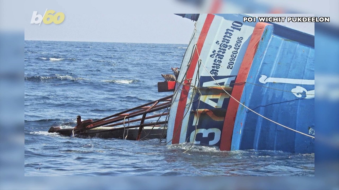 Must See Video Shows Several Cats Being Rescued Aboard Sinking Ship by Thai Navy!