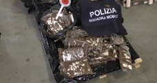 Bologna, sequestrati 760 chili di cocaina nascosta sotto pellame (23.02.22)