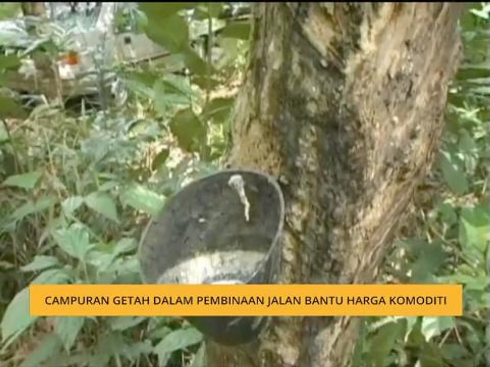 Campuran getah dalam pembinaan jalan bantu harga komoditi