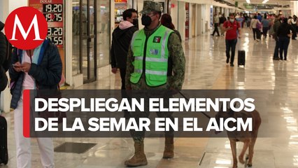 Semar a cargo de seguridad y migración en el AICM