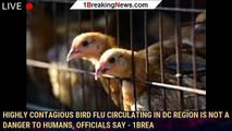 Highly contagious bird flu circulating in DC region is not a danger to humans, officials say - 1brea