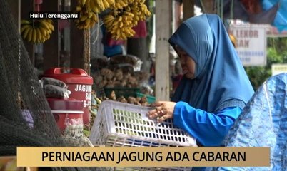 AWANI - Terengganu: Perniagaan jagung ada cabaran