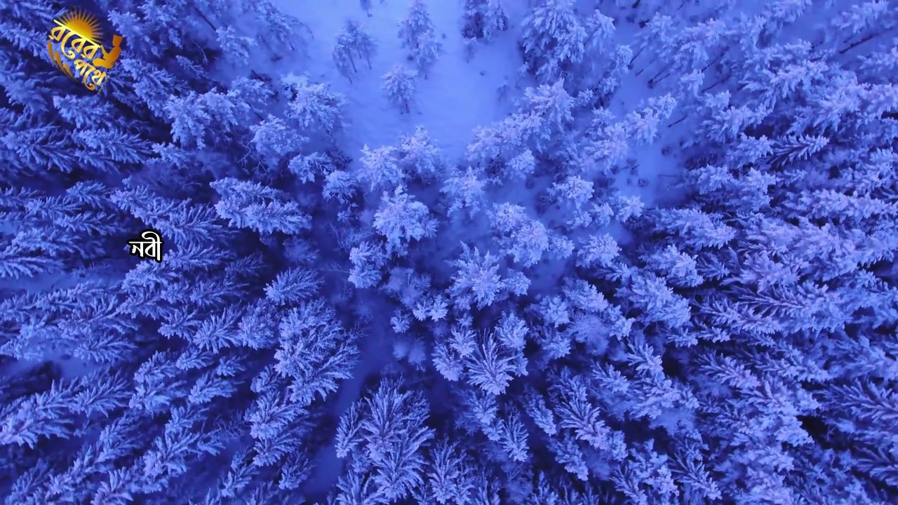 ইমাম আহমাদ ইবনে হাম্বাল ও এক রুটিওয়ালার গল্প | ইসলামী শিক্ষনীয় গল্প | Rober Pothe - রবের পথে