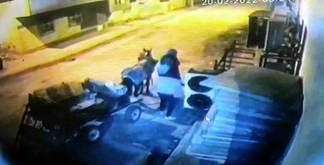 Mardin'de at arabalı hırsızlar kameraya yakalandı