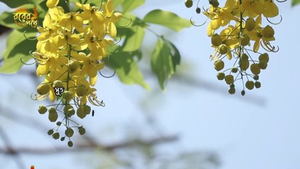 moner cinta dur korar upay | চিন্তা দূর করার দোয়া | anxiety relief period | Rober Pothe - রবের পথে