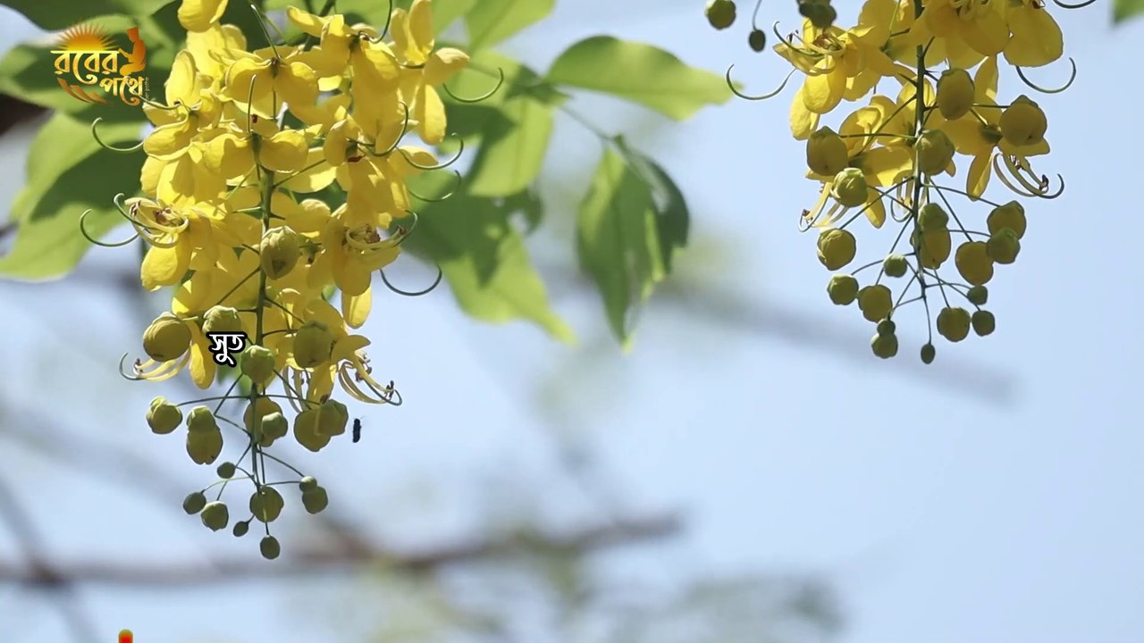 moner cinta dur korar upay | চিন্তা দূর করার দোয়া | anxiety relief period | Rober Pothe - রবের পথে