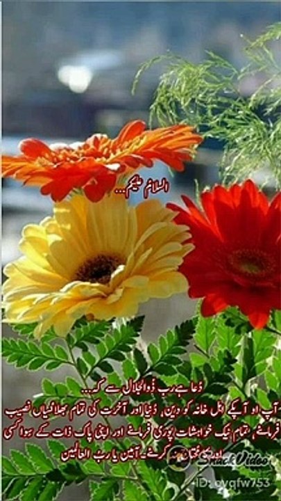 VID-20220223-WA0018