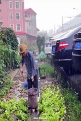 Best Funny Videos  - Funny Compilation Happen Unexpectedly