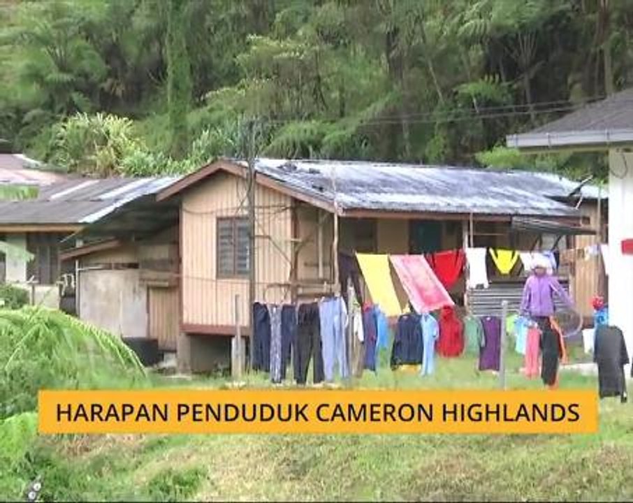 Harapan penduduk Cameron Highlands