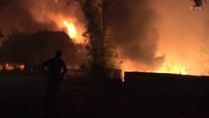 Wildfires Will Intensify and Become More Common, UN Warns