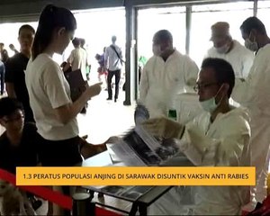 1.3 peratus populasi anjing di Sarawak disuntik vaksin anti rabies
