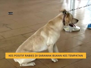 Kes Rabies di Sarawak Bukan Tempatan: Warga Indonesia Meninggal Dunia 🩺
