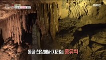 [INCIDENT] A natural cave that was discovered by chance?, 생방송 오늘 아침 220224
