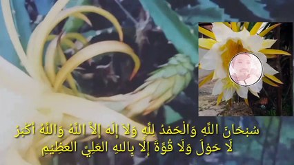 Shalawat Kalimah yang di sukai Alloh