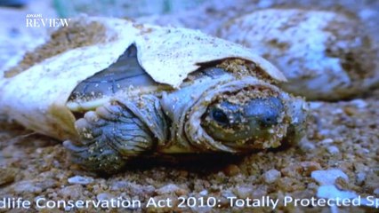 That memory is truly treasured