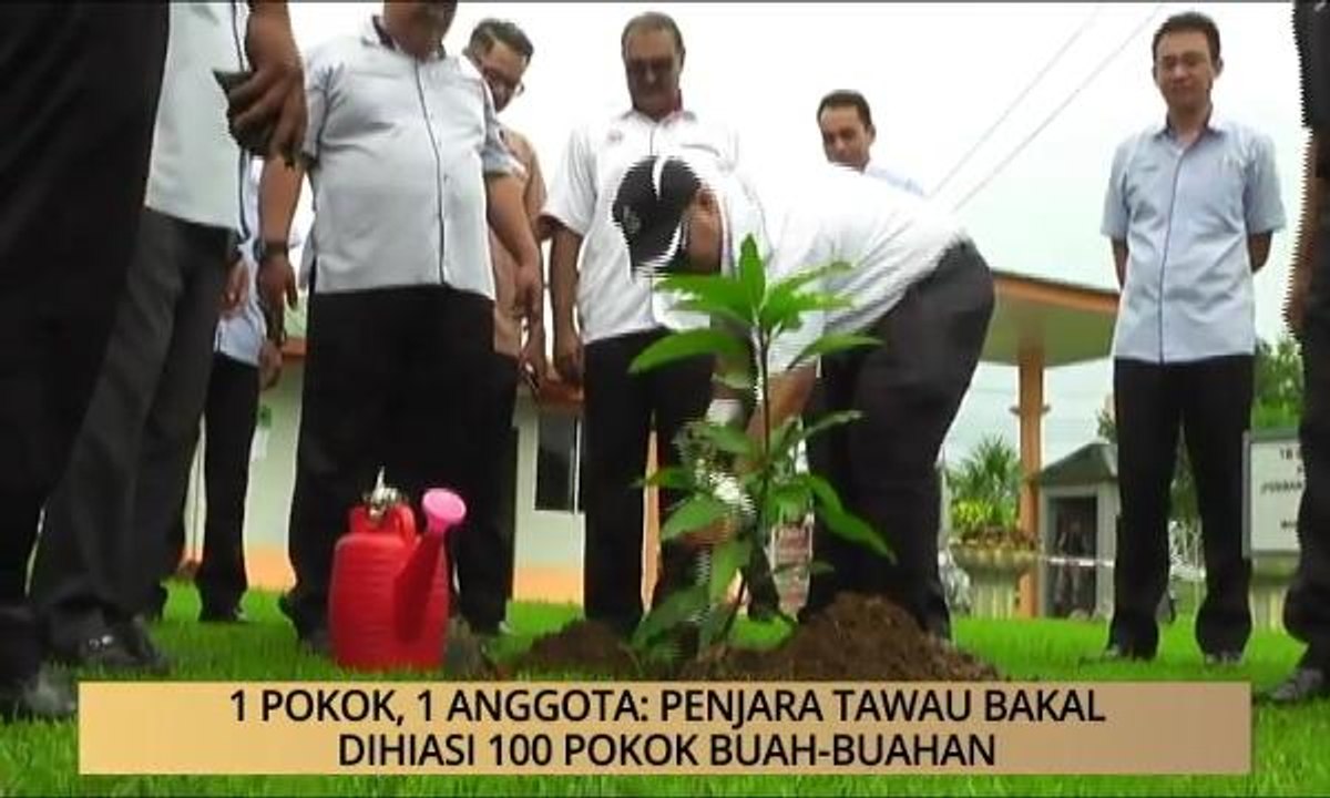 AWANI - Sabah: 1 pokok, 1 anggota: Penjara Tawau bakal dihiasi 100 pokok buah-buahan