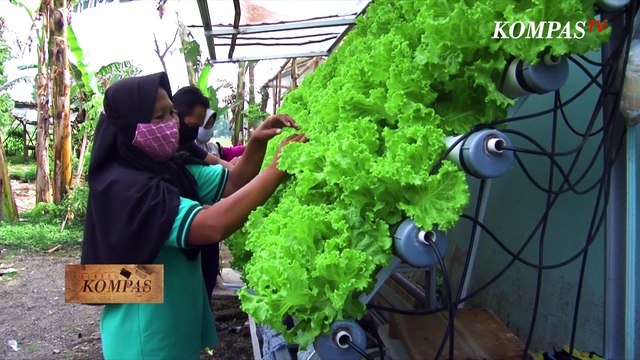 Pahlawan Devisa Berdaya Memajukan Desa (3) BERKAS KOMPAS