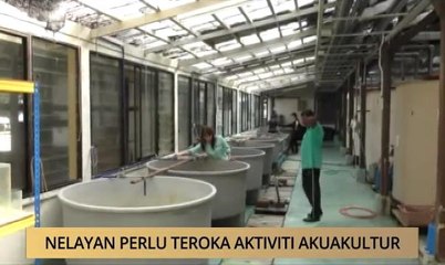 AWANI - Kedah: Nelayan perlu teroka aktiviti akuakultur