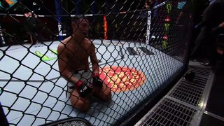 Top Finishes from UFC Vegas 49 Fighters