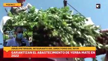 Garantizan el abastecimiento de yerba mate en 2022