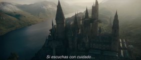 Animales Fantásticos Los Secretos de Dumbledore Película - El equipo